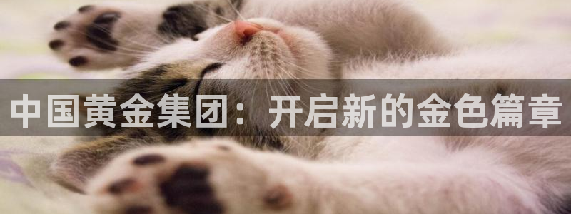 包头众腾娱乐