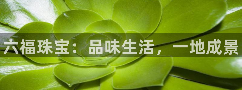 楚雄众腾娱乐是干什么的