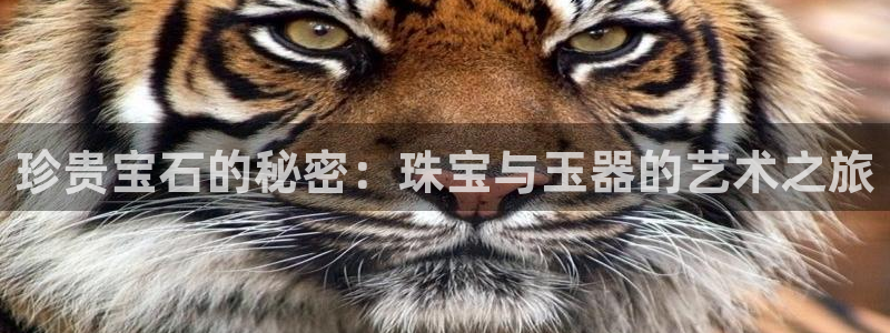 众腾娱乐代理怎么样