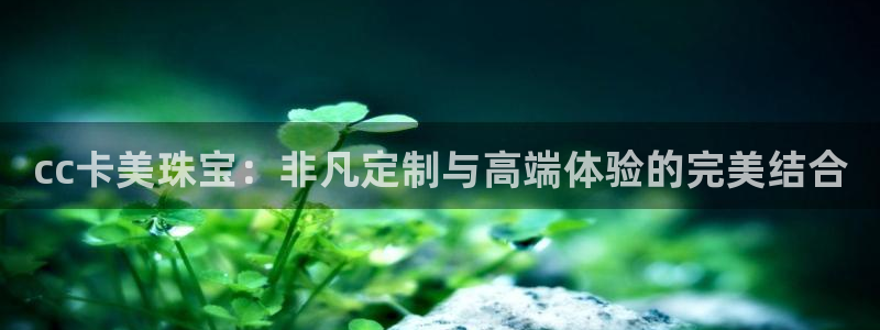 云南众腾娱乐