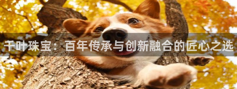 彝族自治州众腾娱乐