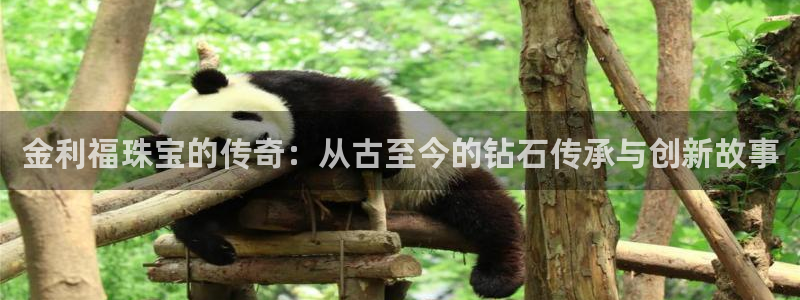 众腾娱乐平台群7O777