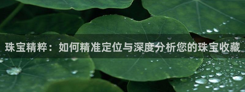 众腾娱乐平台下载