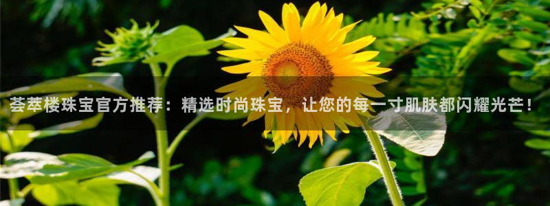 众腾娱乐博彩