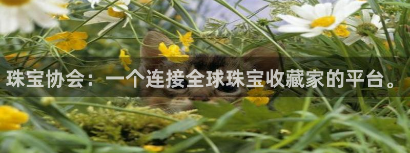 众腾娱乐邵阳