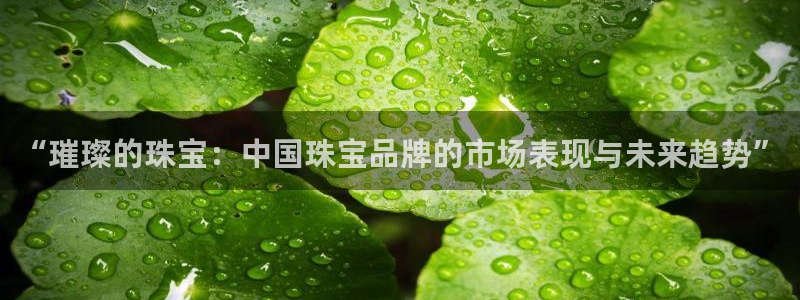 楚雄众腾娱乐：“璀璨的珠宝：中国珠宝品牌的市场表现与未来趋势