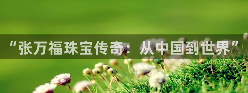 包头众腾娱乐密室逃脱
