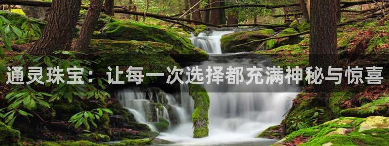 众腾娱乐总代理