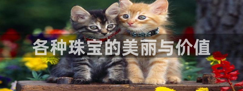众腾娱乐开户