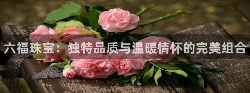 腾耀娱乐众推55312