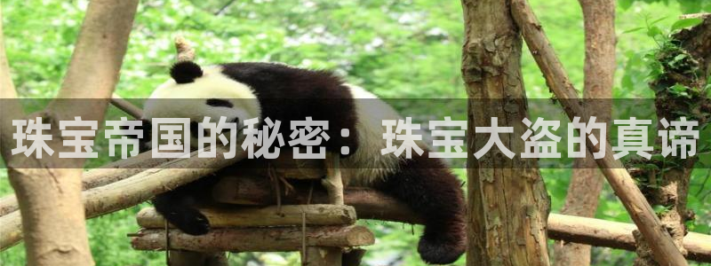 彝族自治州众腾娱乐