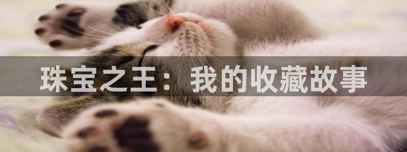 腾耀娱乐众推46996：珠宝之王：我的收藏故事