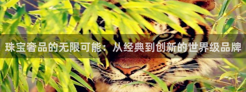 楚雄众腾娱乐：珠宝奢品的无限可能：从经典到创新的世界级品牌