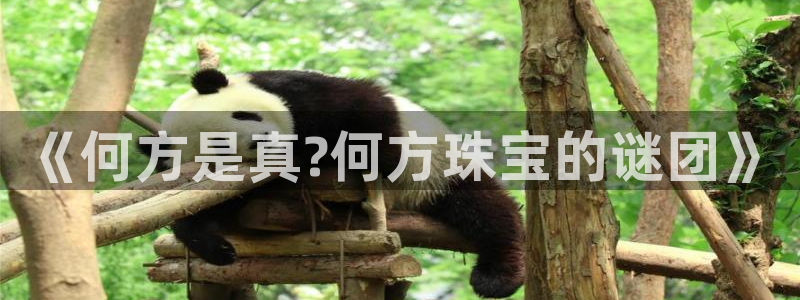 众联别墅g座上腾娱乐有限公司：《何方是真?何方珠宝的谜团》