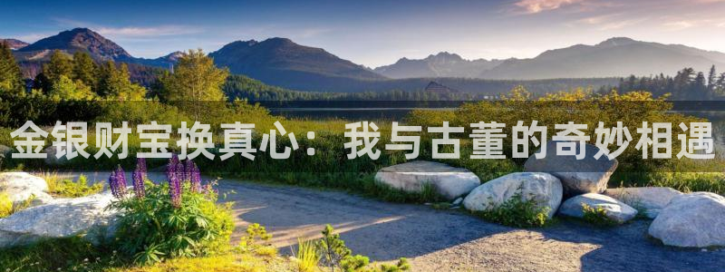 众腾娱乐邵阳：金银财宝换真心：我与古董的奇妙相遇