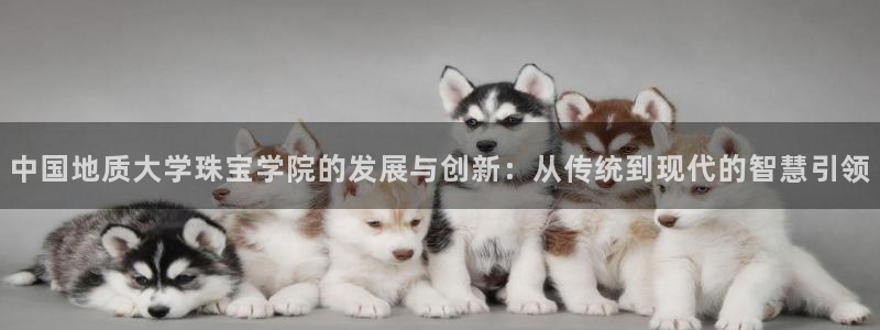 众腾娱乐开户