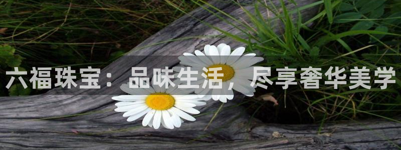 腾讯旗下的腾众娱乐