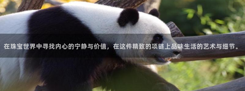 众腾娱乐注册：在珠宝世界中寻找内心的宁静与价值，在这件精致的