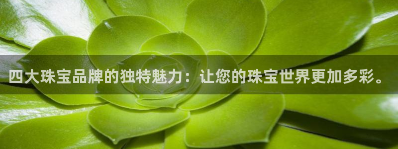 众腾娱乐下7O777：四大珠宝品牌的独特魅力：让您的珠宝世界