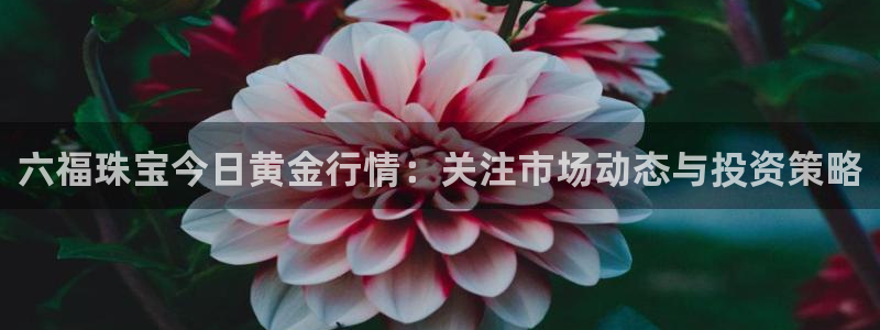 众腾娱乐登录：六福珠宝今日黄金行情：关注市场动态与投资策略